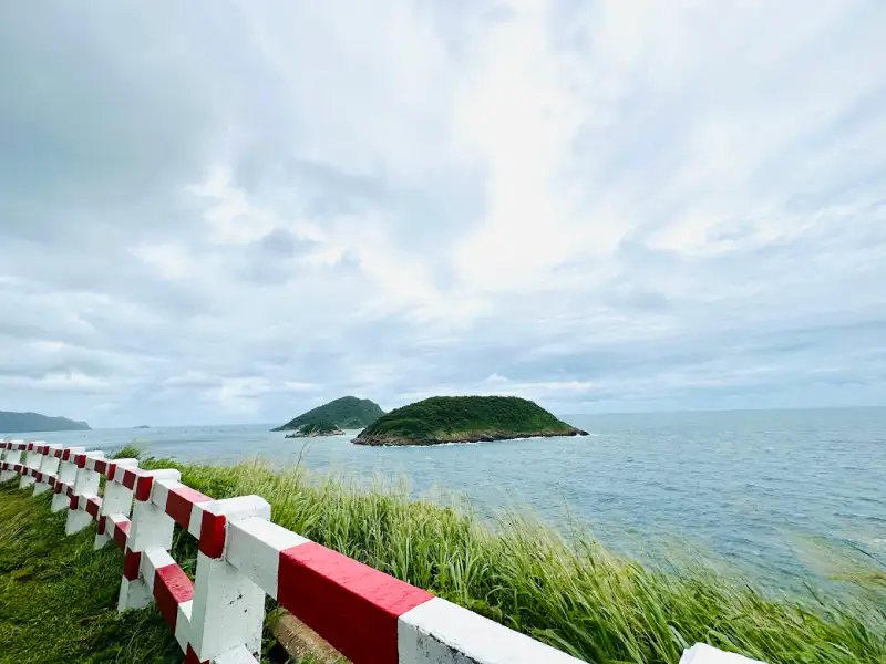 Mũi Cá Mập - ảnh 3